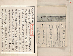 EdoHanabiSenryo1851_Vol1_02