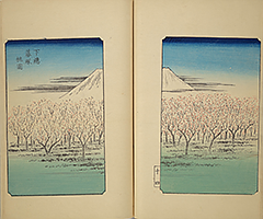 FujimiHyakuzu1859_21