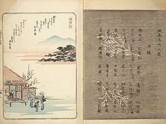 FusoMeishoZue1839_04