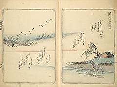 FusoMeishoZue1839_09