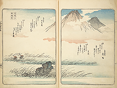 FusoMeishoZue1839_11