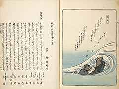 FusoMeishoZue1839_19