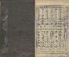 HataHirugaeruUginoKuzuNoHa1834_46