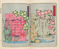 KyokaChakizaiGazoshu_06