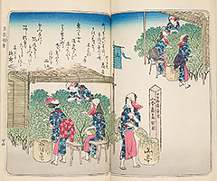 KyokaChakizaiGazoshu_11