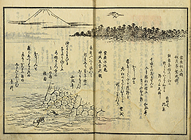 Collection of Comic Verse About Famous Scenic Views in Edo in 14 volumes (1856)