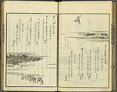 KyokaEdoMeishoZue1856_Book7_30