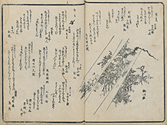 KyokaKijinGazoshu_31