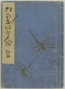 KyokaYamatoJinbutsu_Vol1_Cover