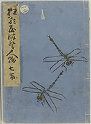 KyokaYamatoJinbutsu_Vol7_Cover