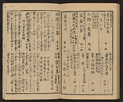 MeishoHokkushu1850_Vol2_18