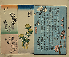 PracticeOfDrawing_04