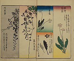 PracticeOfDrawing_05