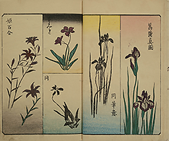 PracticeOfDrawing_06