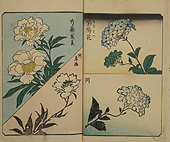 PracticeOfDrawing_07