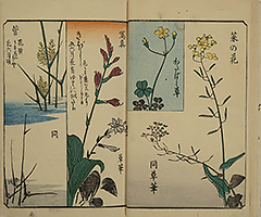 PracticeOfDrawing_08