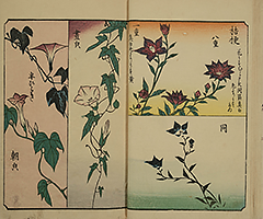 PracticeOfDrawing_09