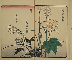 PracticeOfDrawing_10