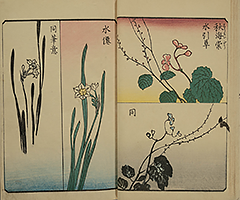 PracticeOfDrawing_11