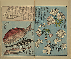 PracticeOfDrawing_13