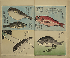 PracticeOfDrawing_14