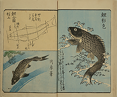 PracticeOfDrawing_15