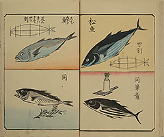 PracticeOfDrawing_16