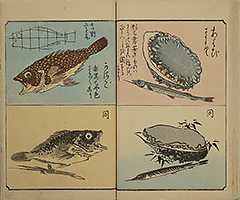 PracticeOfDrawing_17