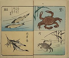 PracticeOfDrawing_18