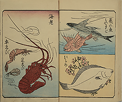 PracticeOfDrawing_19