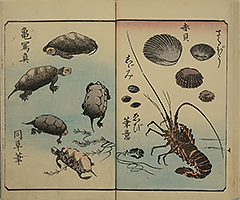 PracticeOfDrawing_20