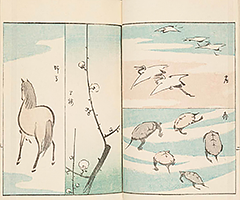 RyakugaRyusaiHyakuzu1851_05