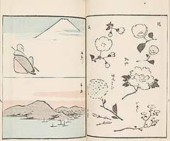 RyakugaRyusaiHyakuzu1851_11