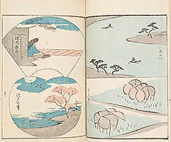 RyakugaRyusaiHyakuzu1851_12