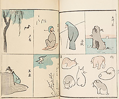 RyakugaRyusaiHyakuzu1851_16