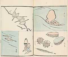 RyakugaRyusaiHyakuzu1851_21