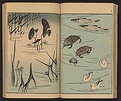 SohitsuGafu1848_Vol1_13