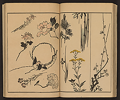 SohitsuGafu1848_Vol1_14