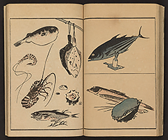 SohitsuGafu1848_Vol1_15