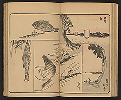 SohitsuGafu1848_Vol2_12