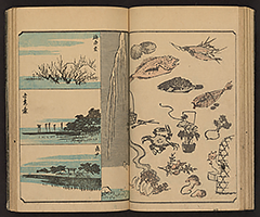 SohitsuGafu1848_Vol2_14