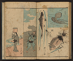 SohitsuGafu1848_Vol3_18