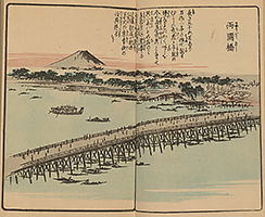 Picture Book of the Souvenirs of Edo in 10 volumes (1850-67)