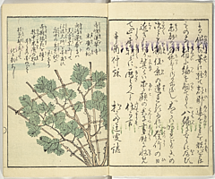 SouvenirsOfEdo_Vol8_03