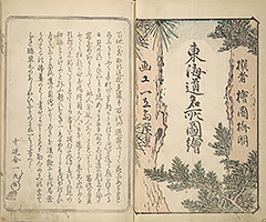 TokaidoMeishoZue1848_04