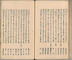 TotoHanaichisen_Vol2_12