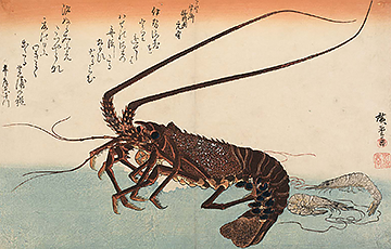 Image of print