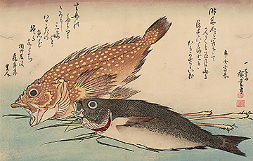 Image of print