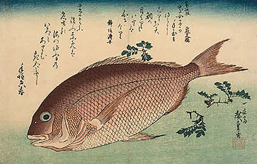 Image of print